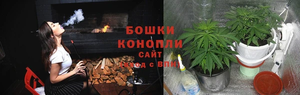 мет Арсеньев