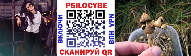 Псилоцибиновые грибы прущие грибы  Струнино 