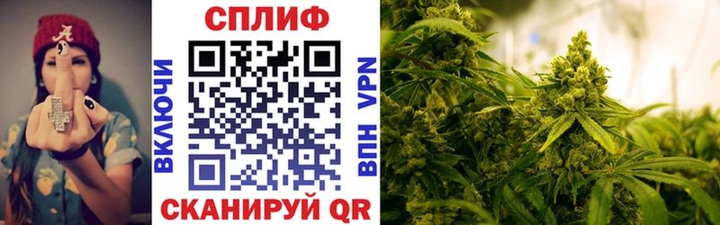 купить наркотики цена  Струнино  кракен сайт  Конопля Amnesia 